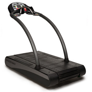 http://www.treadmillreviewguru.com/wp-content/uploads/2012/06/330desmo.jpg