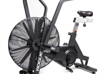 Rogue Echo Bike Review – 2023 Rogue Echo Bike Review – 2023