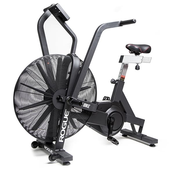 Rogue Echo Airbikeb review 2023