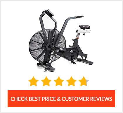 Rogue Echo Airbike