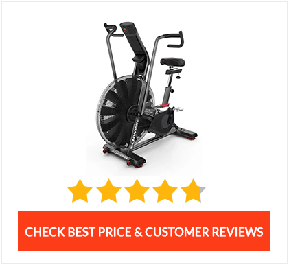 Schwinn Airdyne AD7