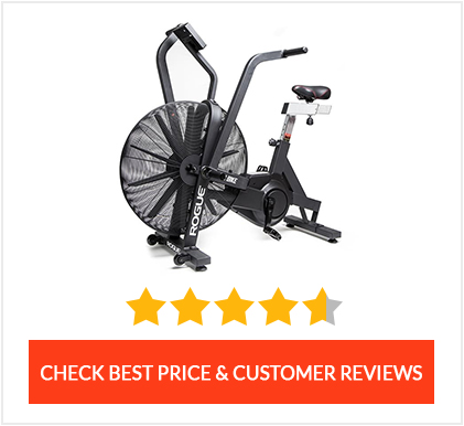 Rogue Fitness Rogue Echo Bike
