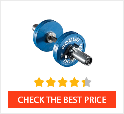 Rogue Loadable Dumbbells Set