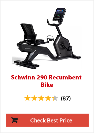 Schwinn 290 Recumbent Bike Feature