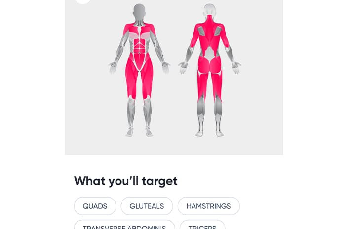 Sweat App Muscles Targeted