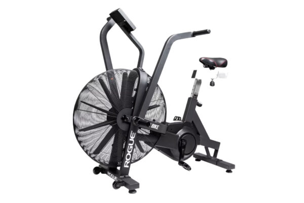 Rogue Echo Air Bike